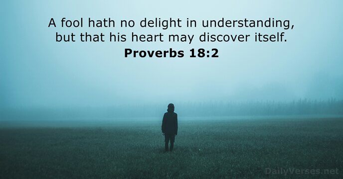 A fool hath no delight in understanding, but that his heart may discover itself. Proverbs 18:2