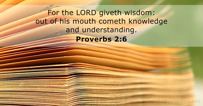 For the LORD giveth wisdom: out of his mouth cometh knowledge and understanding. Proverbs 2:6