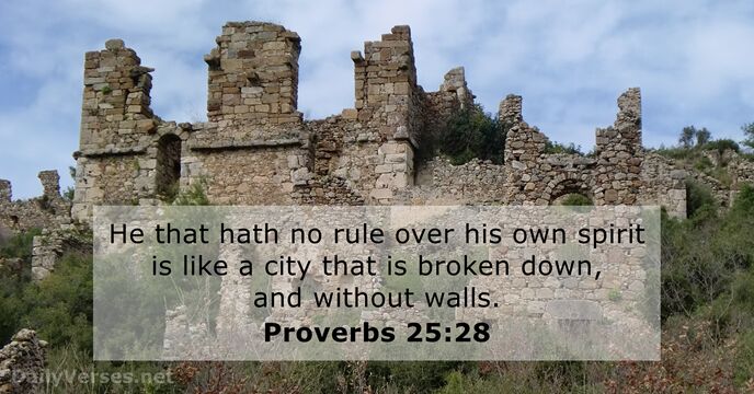 Proverbs 25 28 Bible Verse KJV DailyVerses