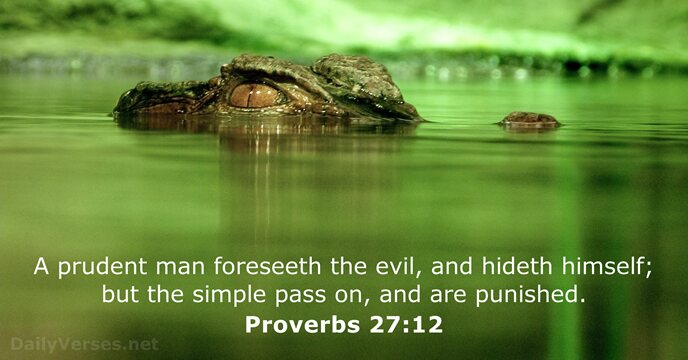 A prudent man foreseeth the evil, and hideth himself; but the simple… Proverbs 27:12