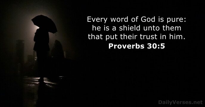 Every word of God is pure: he is a shield unto them… Proverbs 30:5