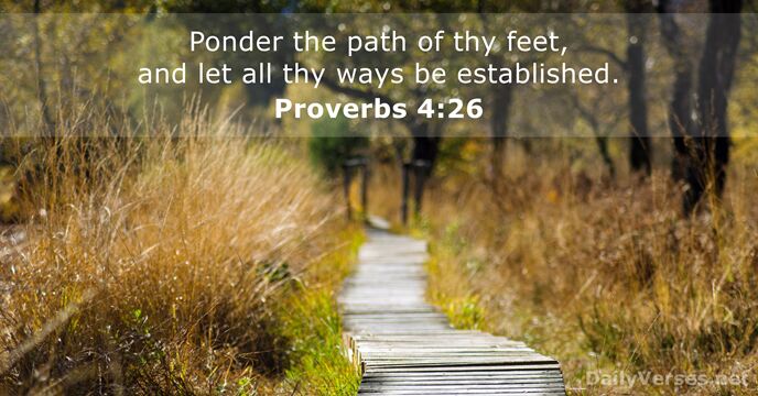 Ponder the path of thy feet, and let all thy ways be established. Proverbs 4:26