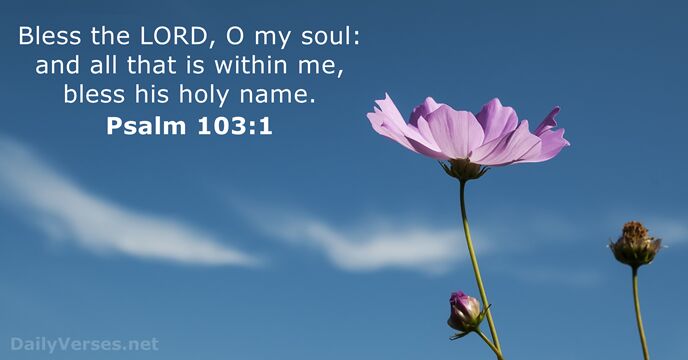 Bless the LORD, O my soul: and all that is within me… Psalm 103:1