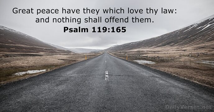 Great peace have they which love thy law: and nothing shall offend them. Psalm 119:165