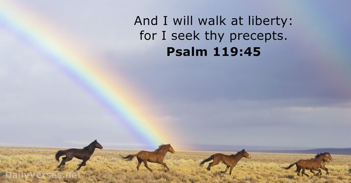 And I will walk at liberty: for I seek thy precepts. Psalm 119:45