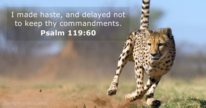 I made haste, and delayed not to keep thy commandments. Psalm 119:60