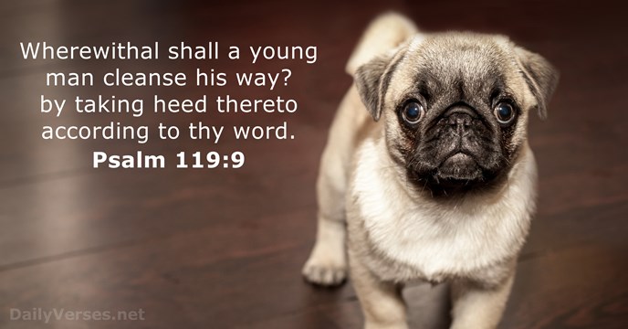 psalm-119-9-bible-verse-kjv-dailyverses