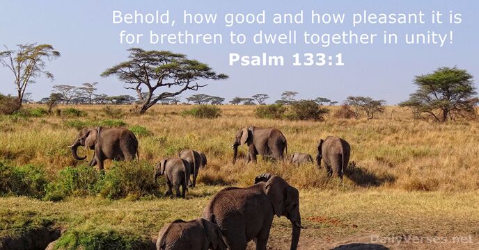 Behold, how good and how pleasant it is for brethren to dwell… Psalm 133:1