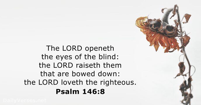The LORD openeth the eyes of the blind: the LORD raiseth them… Psalm 146:8