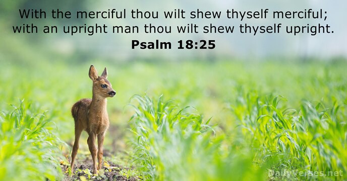 With the merciful thou wilt shew thyself merciful; with an upright man… Psalm 18:25