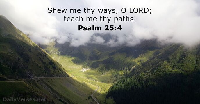 Shew me thy ways, O LORD; teach me thy paths. Psalm 25:4