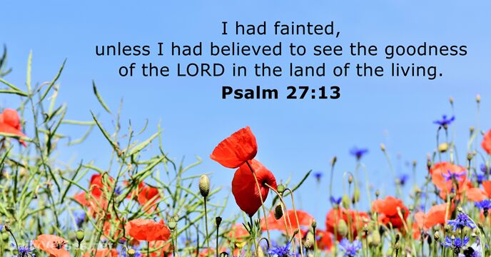 I had fainted, unless I had believed to see the goodness of… Psalm 27:13
