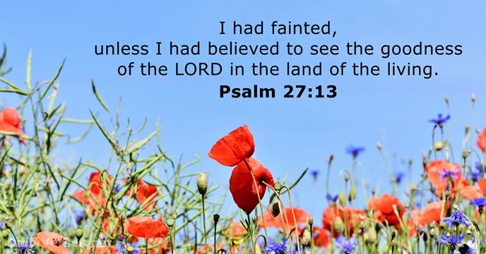 Psalm 27:13 - Bible Verse (Kjv) - Dailyverses.net