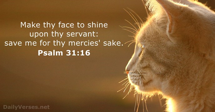 Make thy face to shine upon thy servant: save me for thy mercies' sake. Psalm 31:16