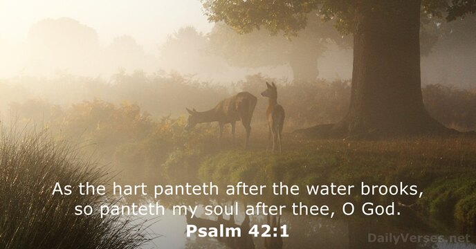 As the hart panteth after the water brooks, so panteth my soul… Psalm 42:1