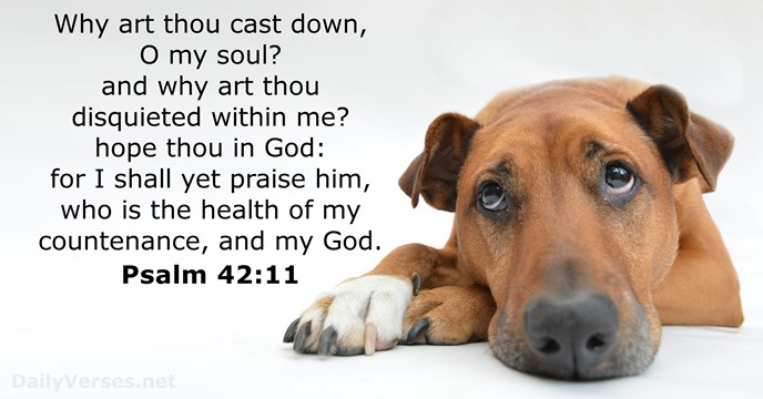 psalm-42-11-bible-verse-kjv-dailyverses