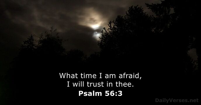 Psalm 56:3