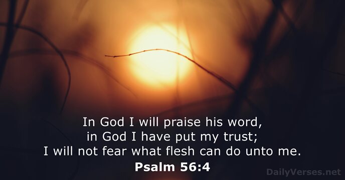 Psalm 56:4
