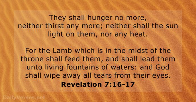 They shall hunger no more, neither thirst any more; neither shall the… Revelation 7:16-17