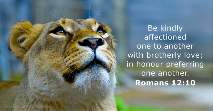 Romans 12:10