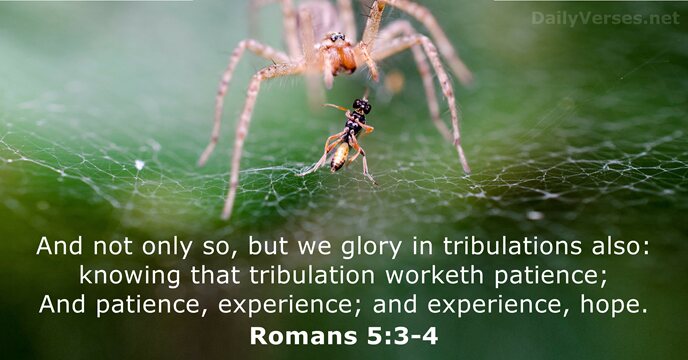 And not only so, but we glory in tribulations also: knowing that… Romans 5:3-4