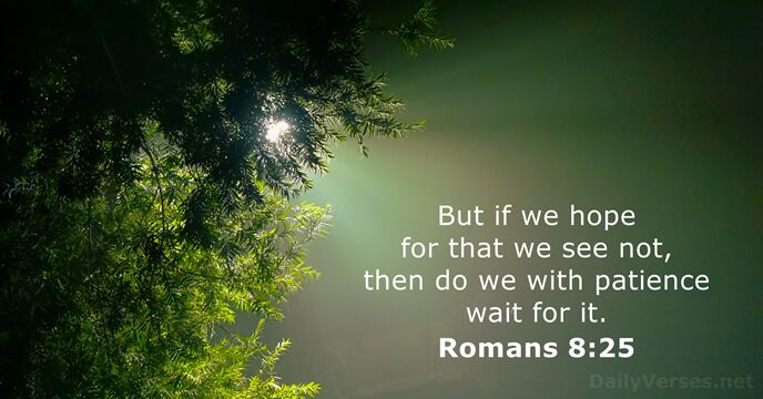 But if we hope for that we see not, then do we… Romans 8:25