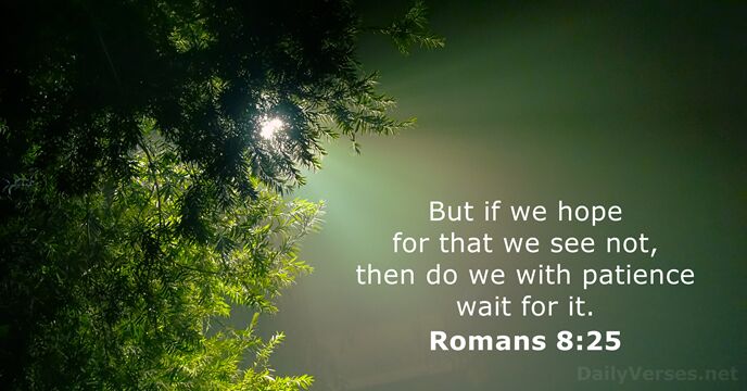 Romans 15:4 For whatsoever things were written aforetime were written for  our learning, that we through patience and comfort of the scriptures might  have hope., King James Version (KJV)