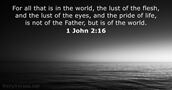 1 John 2:16