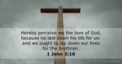 1 John 3:16