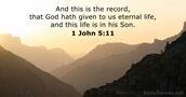 1 John 5:11
