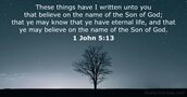 1 John 5:13