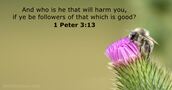 1 Peter 3:13
