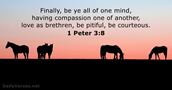 1 Peter 3:8