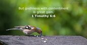 1 Timothy 6:6