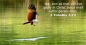 2 Timothy 3:12