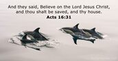 Acts 16:31