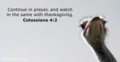 Colossians 4:2