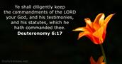 Deuteronomy 6:17