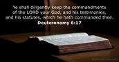 Deuteronomy 6:17