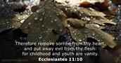 Ecclesiastes 11:10