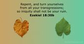Ezekiel 18:30b