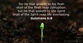Galatians 6:8
