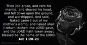 Job 1:20-21