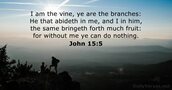 John 15:5