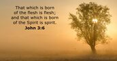 John 3:6