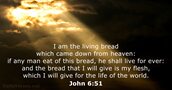 John 6:51