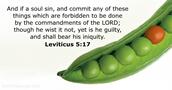 Leviticus 5:17