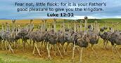 Luke 12:32