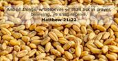 Matthew 21:22