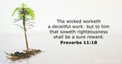 Proverbs 11:18